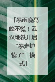 暴雨晚高峰不慌！武汉地铁开启 “暴走护犊子” 模式