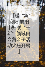 暖“新”向阳 襄阳市妇联“三新”领域夏令营亲子活动火热开展