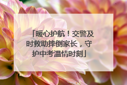 暖心护航！交警及时救助摔倒家长，守护中考温情时刻