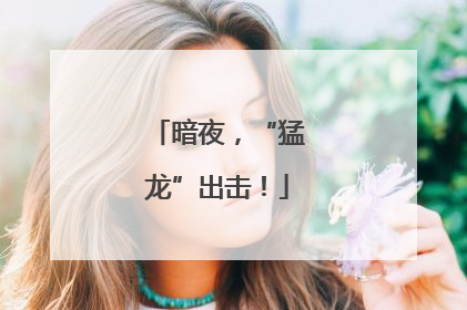 暗夜，“猛龙”出击！