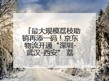 最大规模荔枝助销再添一码！京东物流开通“深圳-武汉-西安” 荔枝全货机航线