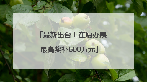 最新出台！在厦办展最高奖补600万元