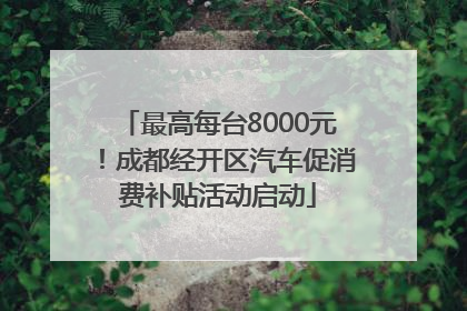 最高每台8000元！成都经开区汽车促消费补贴活动启动