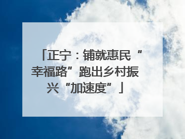 正宁：铺就惠民“幸福路”跑出乡村振兴“加速度”