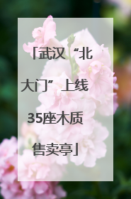 武汉“北大门”上线35座木质售卖亭