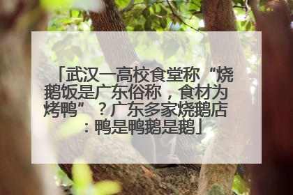 武汉一高校食堂称“烧鹅饭是广东俗称，食材为烤鸭”？广东多家烧鹅店：鸭是鸭鹅是鹅