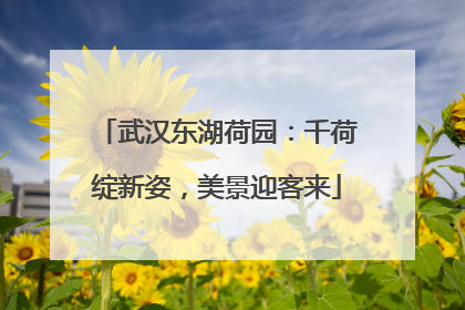 武汉东湖荷园：千荷绽新姿，美景迎客来
