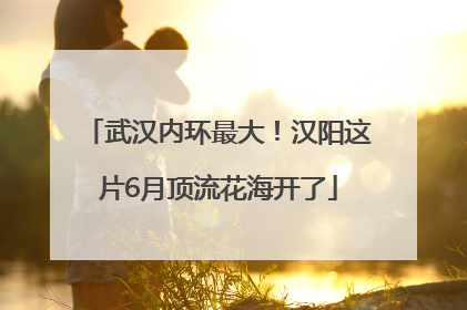 武汉内环最大！汉阳这片6月顶流花海开了