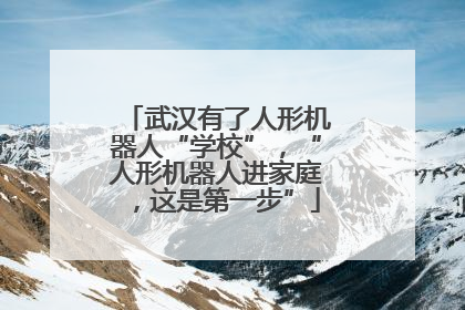 武汉有了人形机器人“学校”，“人形机器人进家庭，这是第一步”