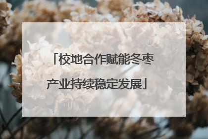 校地合作赋能冬枣产业持续稳定发展