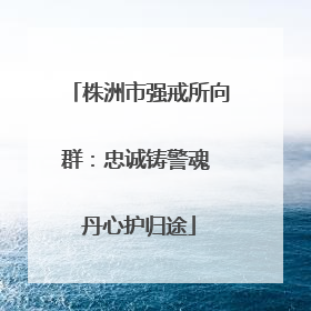 株洲市强戒所向群：忠诚铸警魂 丹心护归途