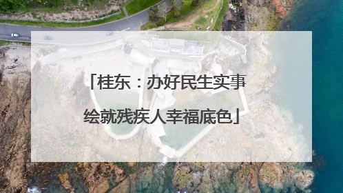 桂东：办好民生实事 绘就残疾人幸福底色