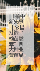榆中新先事｜多措打造“榆苗陇萃”四大种业育苗品牌