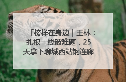 榜样在身边｜王林：扎根一线破难题，25天拿下聊城西站钢连廊“硬核”工程