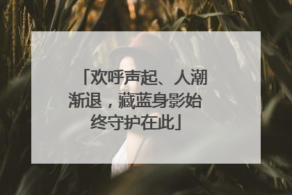 欢呼声起、人潮渐退，藏蓝身影始终守护在此