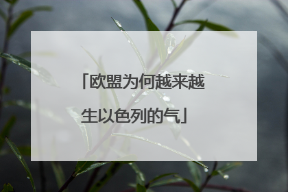 欧盟为何越来越生以色列的气