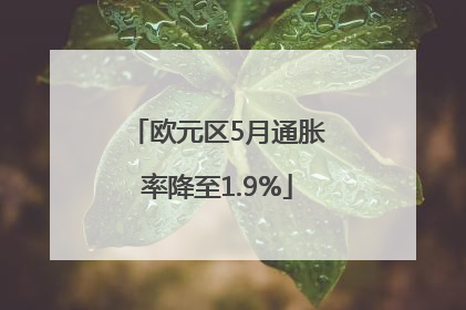欧元区5月通胀率降至1.9%
