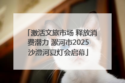 激活文旅市场 释放消费潜力 漯河市2025沙澧河夏灯会启幕