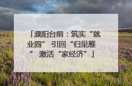 濮阳台前：筑实“就业圈” 引回“归巢雁” 激活“家经济”