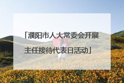 濮阳市人大常委会开展主任接待代表日活动