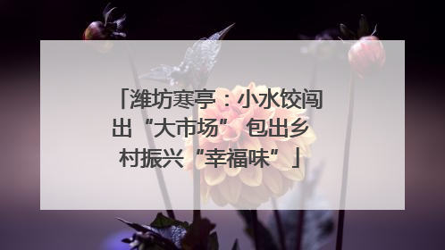 潍坊寒亭：小水饺闯出“大市场” 包出乡村振兴“幸福味”