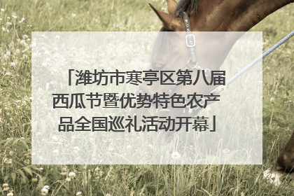 潍坊市寒亭区第八届西瓜节暨优势特色农产品全国巡礼活动开幕