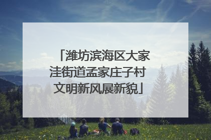 潍坊滨海区大家洼街道孟家庄子村文明新风展新貌