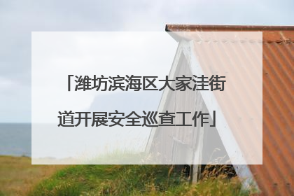 潍坊滨海区大家洼街道开展安全巡查工作