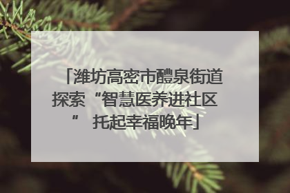 潍坊高密市醴泉街道探索“智慧医养进社区” 托起幸福晚年