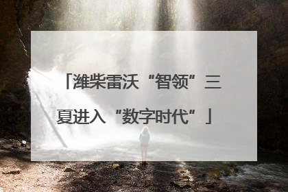潍柴雷沃“智领”三夏进入“数字时代”