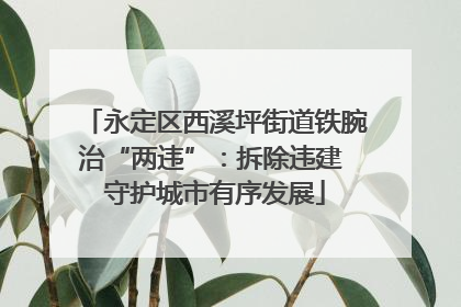 永定区西溪坪街道铁腕治“两违”：拆除违建 守护城市有序发展