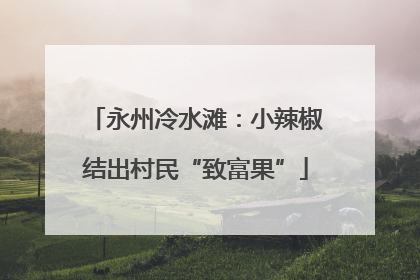 永州冷水滩：小辣椒结出村民“致富果”