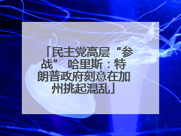 民主党高层“参战” 哈里斯：特朗普政府刻意在加州挑起混乱