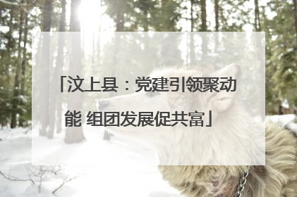 汶上县：党建引领聚动能 组团发展促共富