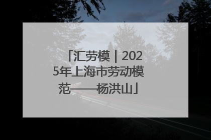 汇劳模｜2025年上海市劳动模范——杨洪山