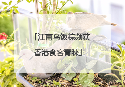 江南乌饭粽频获香港食客青睐