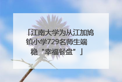 江南大学为从江加鸠镇小学729名师生端稳“幸福餐盘”