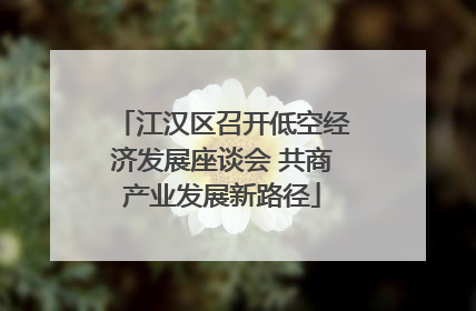 江汉区召开低空经济发展座谈会 共商产业发展新路径