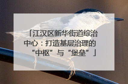 江汉区新华街道综治中心：打造基层治理的“中枢”与“堡垒”