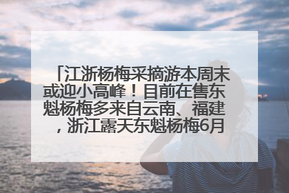 江浙杨梅采摘游本周末或迎小高峰！目前在售东魁杨梅多来自云南、福建，浙江露天东魁杨梅6月中旬大量上市