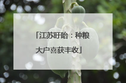 江苏盱眙：种粮大户喜获丰收