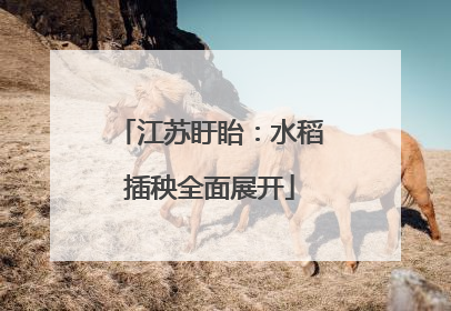 江苏盱眙：水稻插秧全面展开