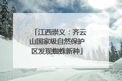 江西崇义：齐云山国家级自然保护区发现蜘蛛新种