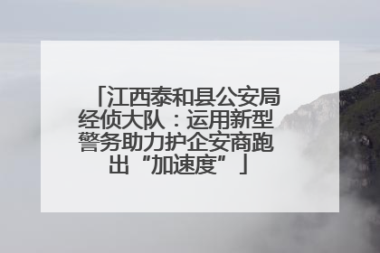江西泰和县公安局经侦大队：运用新型警务助力护企安商跑出“加速度”