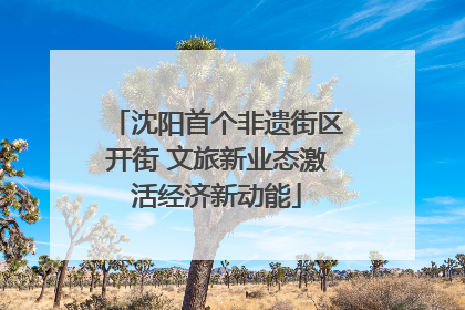 沈阳首个非遗街区开街 文旅新业态激活经济新动能