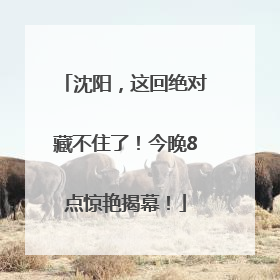 沈阳，这回绝对藏不住了！今晚8点惊艳揭幕！