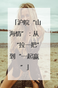 沪皖“山海情”：从“拉一把”到“一起赢”