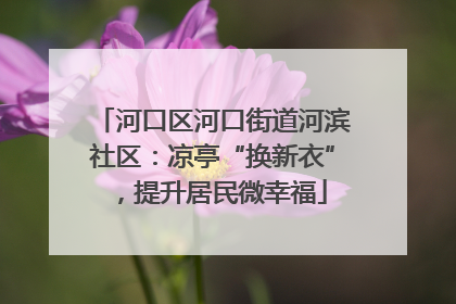 河口区河口街道河滨社区：凉亭“换新衣”，提升居民微幸福