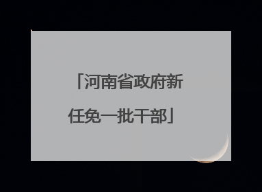 河南省政府新任免一批干部