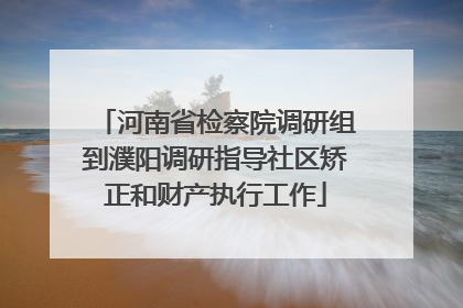 河南省检察院调研组到濮阳调研指导社区矫正和财产执行工作